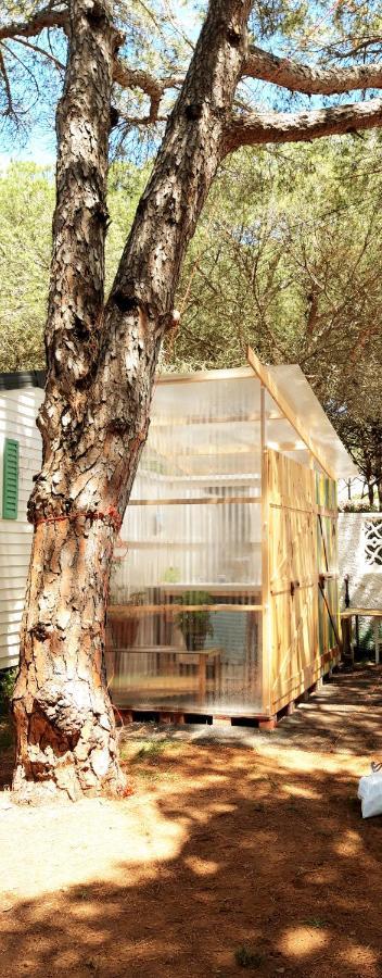 The Pineforest Cabin Chiclana de la Frontera Exterior foto